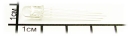 FYL-5015RGBC, трехцветный, ультраяркий, 5мм