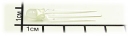 FYL-5019EGW, двухцветный: красн. + зеленый, 60гр. матовый 5мм